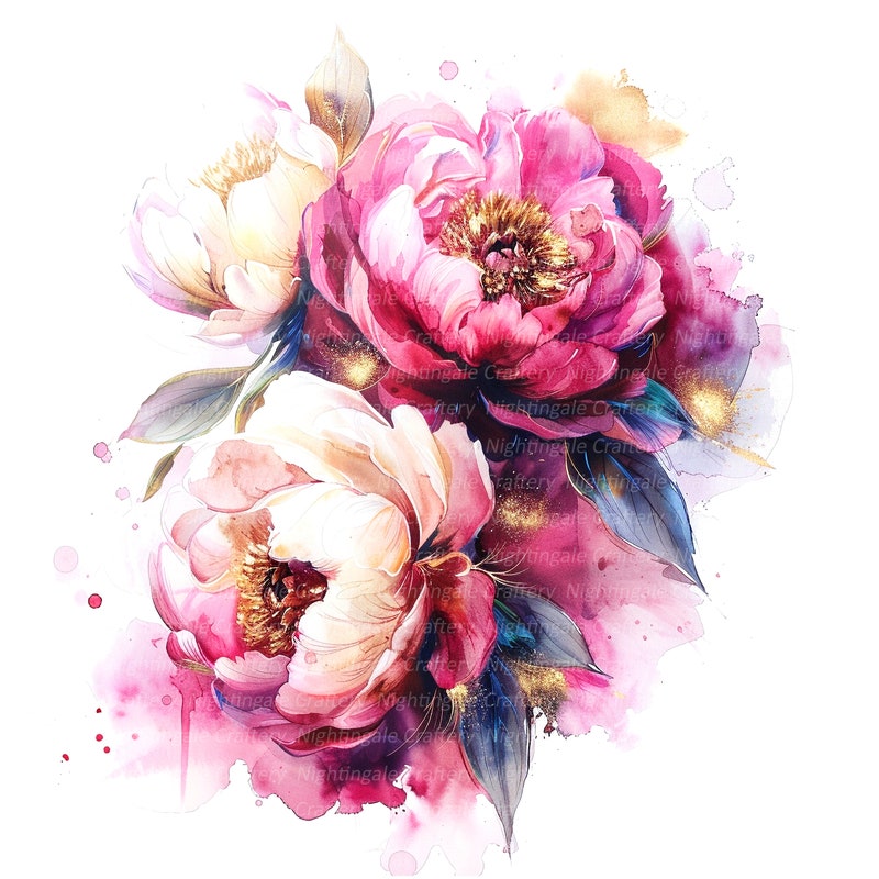 Peonies - Etsy