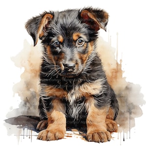 Clipart chiot berger allemand, clipart chien, clipart aquarelle imprimable, 10 fichiers JPG de haute qualité, téléchargement numérique, créations en papier, journaux indésirables