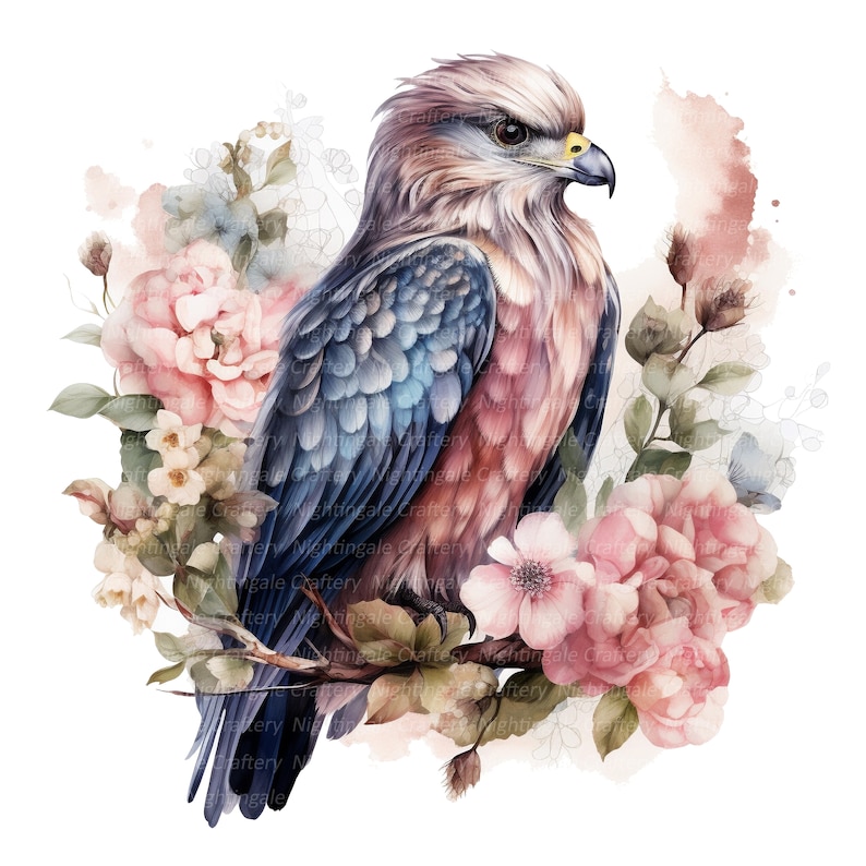 10 Floral Hawk Clipart, Adorable, Digital Clipart, Watercolor Clipart ...