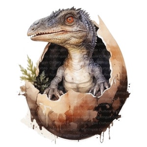 14 Dinosaur Hatching Clipart, Dinosaur Egg, Printable Watercolor ...