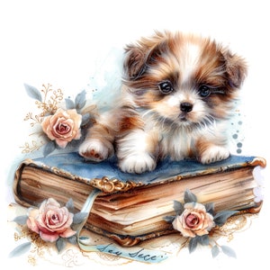 10 cliparts chiot et livre magique, clipart chiot, clipart aquarelle imprimable, fichiers JPG de haute qualité, téléchargement numérique, créations en papier, journal de bordel