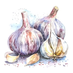May include: Watercolor painting of three whole garlic bulbs and two cloves of garlic. The garlic bulbs are purple and white, and the cloves are white. The painting is on a white background with blue and red watercolor splatters.