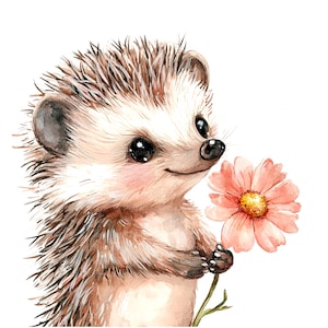 10 Ouriço com clipart de flor, ouriço fofo, clipart de aquarela para impressão, PNGs de alta qualidade, download digital, artesanato em papel, sublimação
