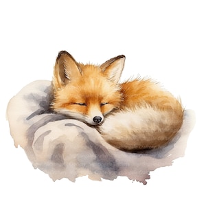 8 slapende baby Fox clipart, Fox clipart, afdrukbare aquarel clipart, hoge kwaliteit jpg's, digitale download, hoge resolutie, Papercraft