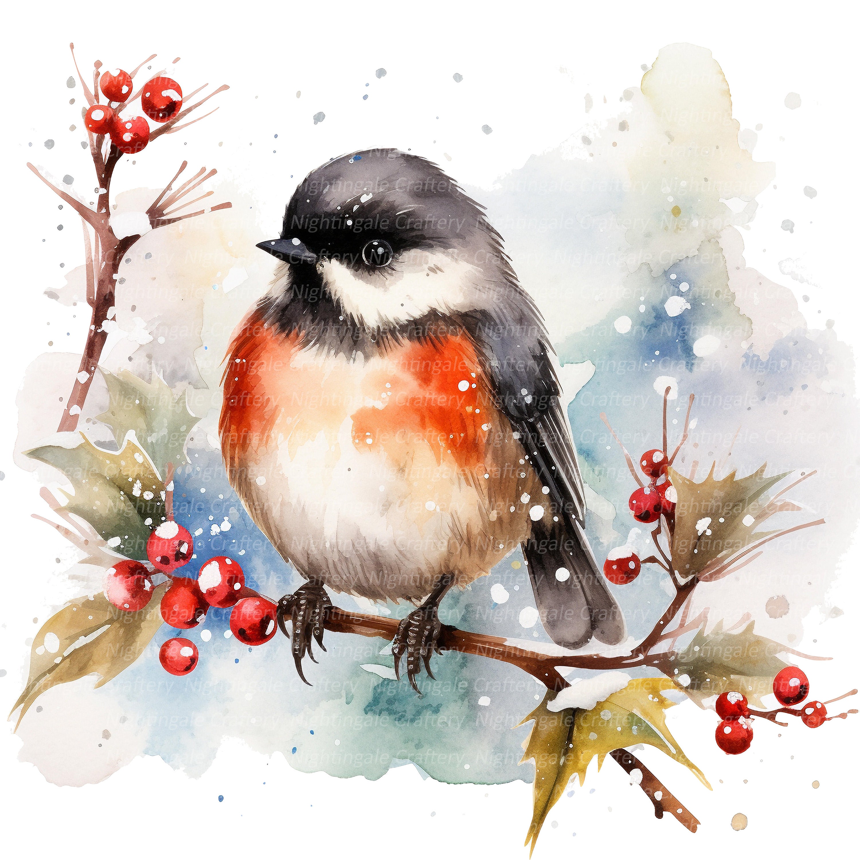 12 Special Christmas Robin Clipart, Printable Watercolor Clipart, High ...