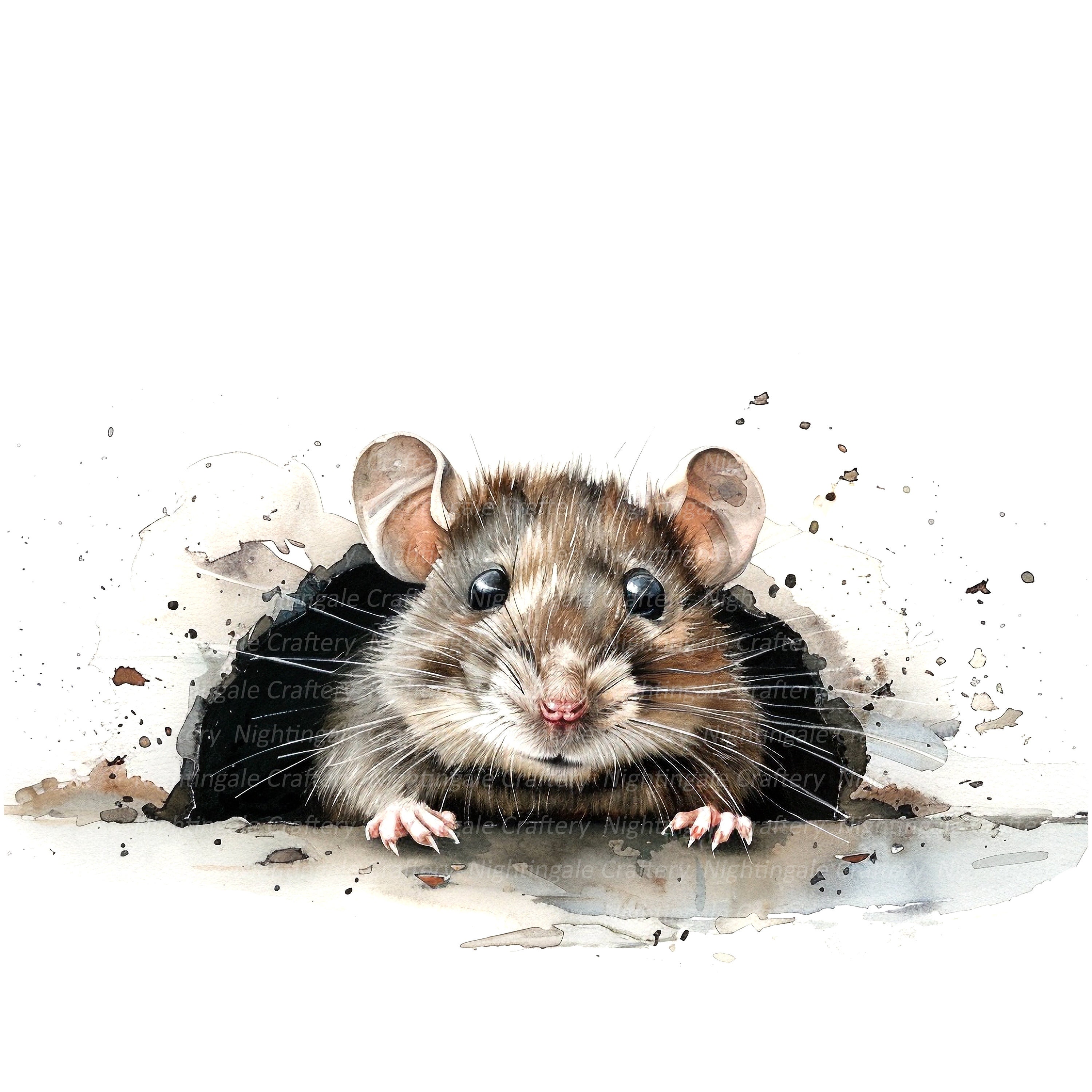 Rat Wd 10 Rat in Hole Clipart, Mouse and Cheese, Printable Watercolor Clipart ...