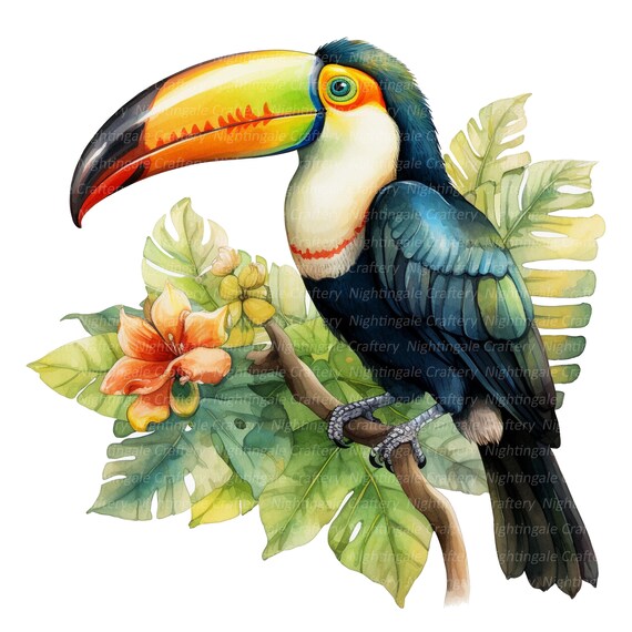 10 Toucan Clipart, Watercolor Toucan, Printable Watercolor clipart, High Quality JPGs, Digital download, Paper craft, junk journals