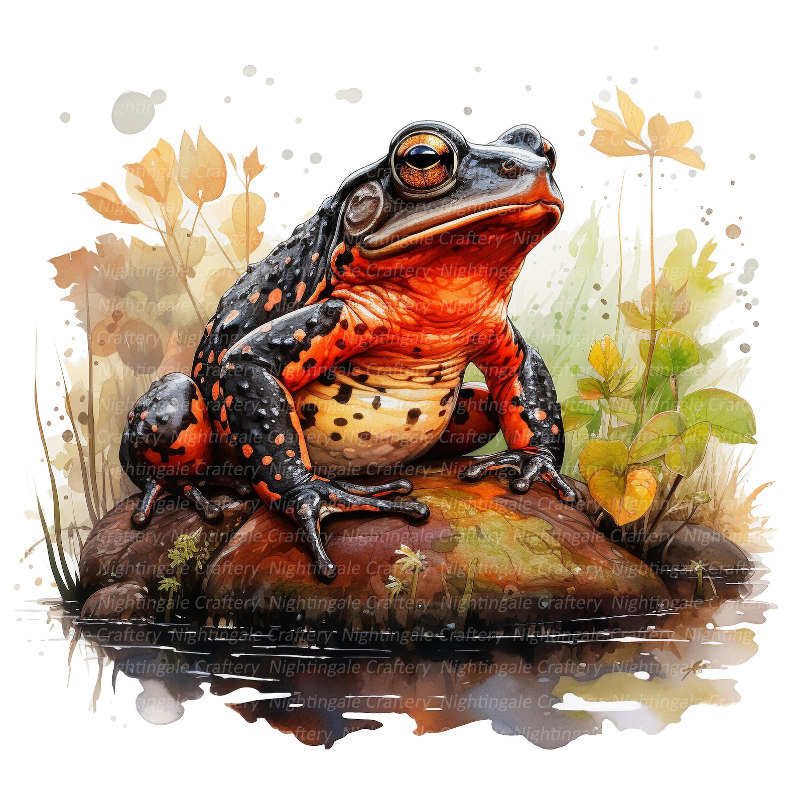Peruvian Toad