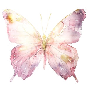 12 Pink Golden Butterfly Clipart, Wall Print, Printable Watercolor ...