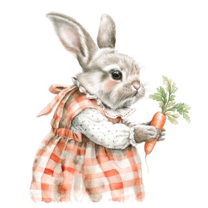 9 Bunny Grany Clipart, Grandma Bunny Carrot Clipart, Imágenes Prediseñadas de acuarela imprimible, JPG de alta calidad, Descarga digital, Artesanía en papel, diario