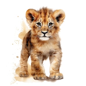 10 Lion Baby Clipart, Leão para berçário, Clipart de aquarela para impressão, PNGs de alta qualidade, Download digital, Alta resolução, Artesanato em papel