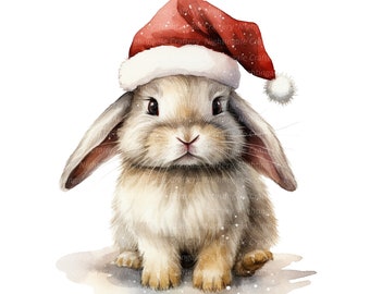 12 Fluffy Bunny Christmas Clipart, Santa Bunny, Printable Watercolor clipart, High Quality JPGs, Digital download, Paper craft, junk journal
