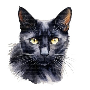 12 Black Cat Clipart, Mystic Cat Clipart, Printable Watercolor clipart, High Quality JPGs, Digital download, Paper craft, junk journals