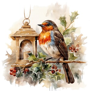 12 Christmas Robin Clipart Set 2, Printable Watercolor Clipart, High ...