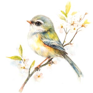 10 Clipart oiseau floral, clipart oiseaux de printemps, clipart aquarelle imprimable, fichiers JPG de haute qualité, téléchargement numérique, créations en papier, journal indésirable
