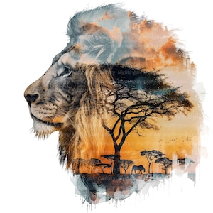 8 Arte de parede de leão, foto de leão, arte de parede para impressão, JPGs de alta qualidade, download digital, alta resolução, design de camiseta, sublimação