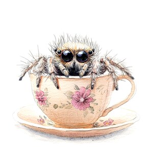 9 Clipart de aranha e xícara de chá, aranha fofa, clipart de aquarela para impressão, JPGs de alta qualidade, download digital, artesanato em papel, diário de lixo