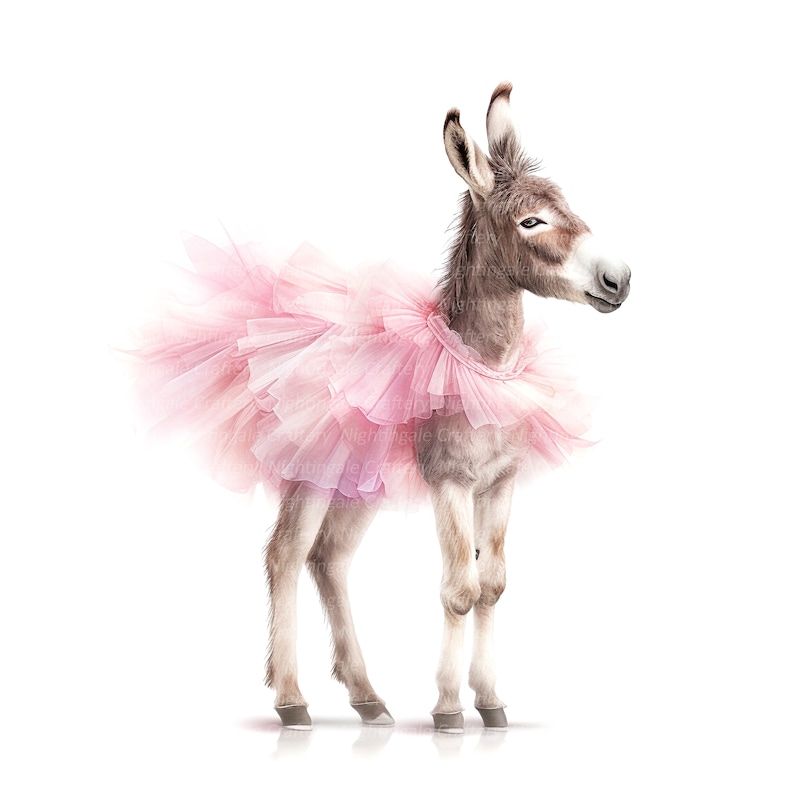 Pink Denkat 12 Donkey Ballerina Clipart, Funny Donkey, Printable Watercolor Clipart ...