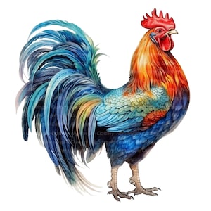 10 Coloured Rooster Clipart, Printable Watercolor clipart, High Quality PNGs, Digital download, High Resolution, Paper craft, junk journals