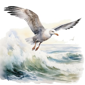 10 Seagull Clipart, Gull Clipart, Printable Watercolor clipart, High Quality JPGs, Digital download, Paper craft, junk journals