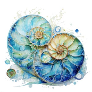 12 Imágenes prediseñadas abstractas de conchas de Paua, Conchas en espiral, Imágenes prediseñadas de acuarela imprimibles, JPG de alta calidad, Descarga digital, Artesanía de papel, diario basura
