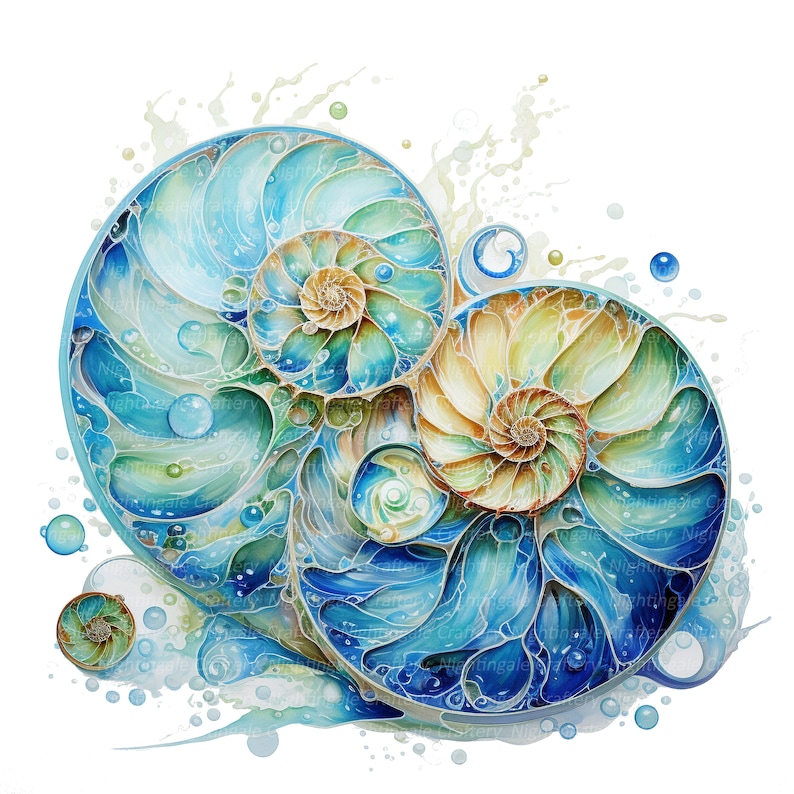 Paua Shell Pattern Vector 12 Abstract Paua Shells Clipart, Spiral Shells, Printable Watercolor ...