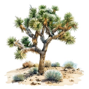 9 Joshua Tree Clipart, Joshua Tree Print, Printable Watercolor Clipart ...