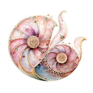 May include: A watercolor painting of two nautilus shells with intricate details. The shells are pink, blue, and gold with a pearl-like texture. The shells are intertwined and create a swirling pattern.