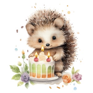 Hedgehog Party Clipart, Printable Watercolor Clipart, 12 High Quality ...