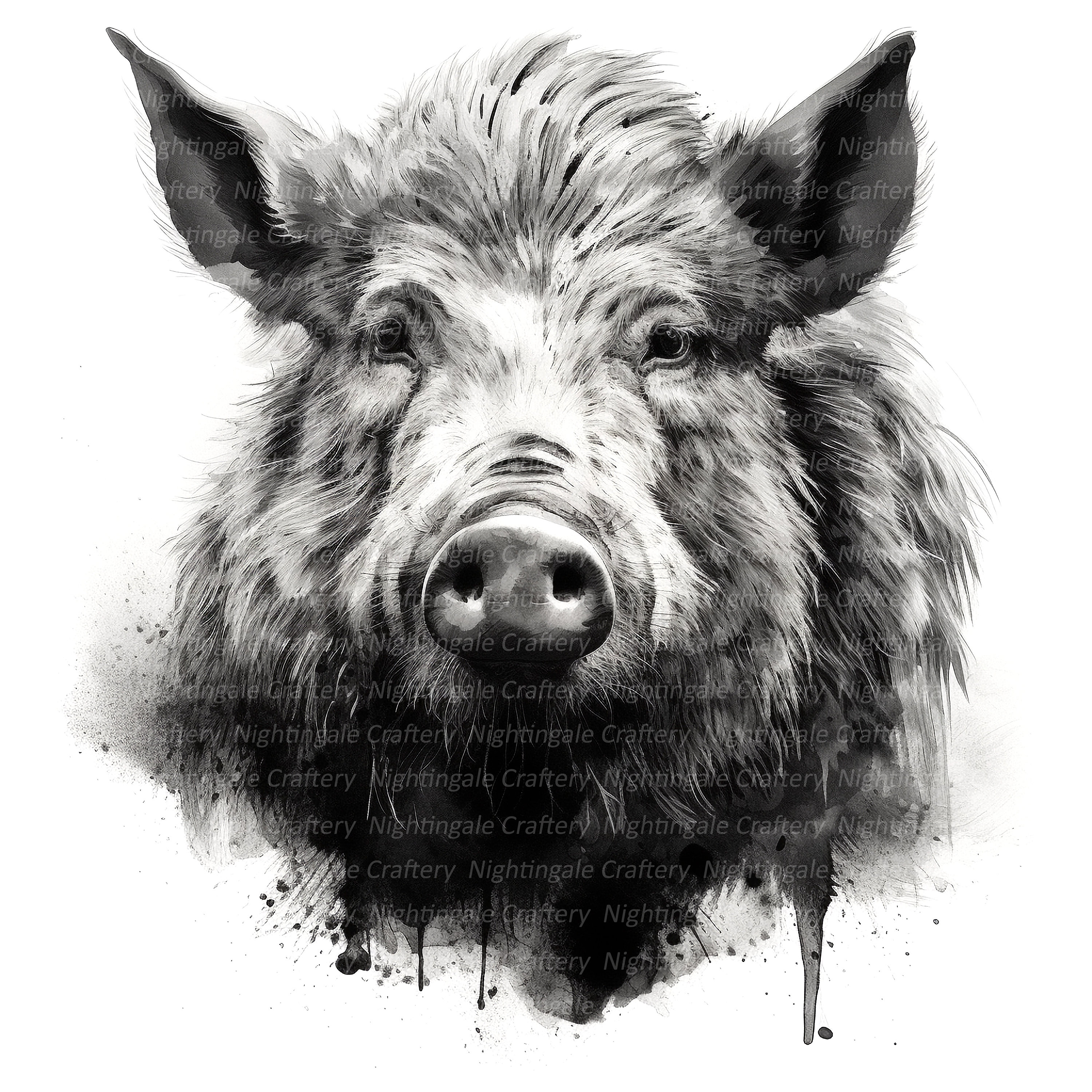 Zeitschrift für Ethnologie, image size:3000x3000