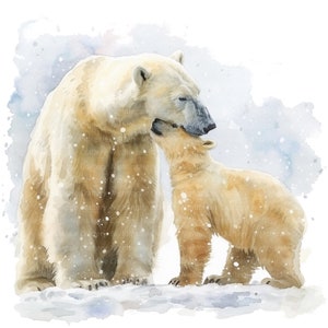 8 Clipart di orso polare e cucciolo, clipart acquerello stampabile, JPG di alta qualità, download digitale, alta risoluzione, artigianato di carta, diario spazzatura
