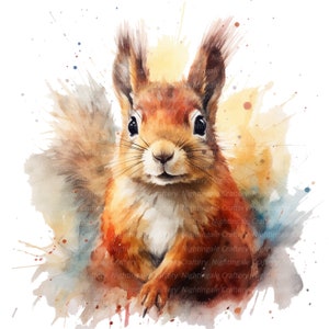 11 Écureuil mignon gros plan Clipart, clipart aquarelle imprimable, fichiers JPG de haute qualité, téléchargement numérique, haute résolution, travaux manuels en papier, journal