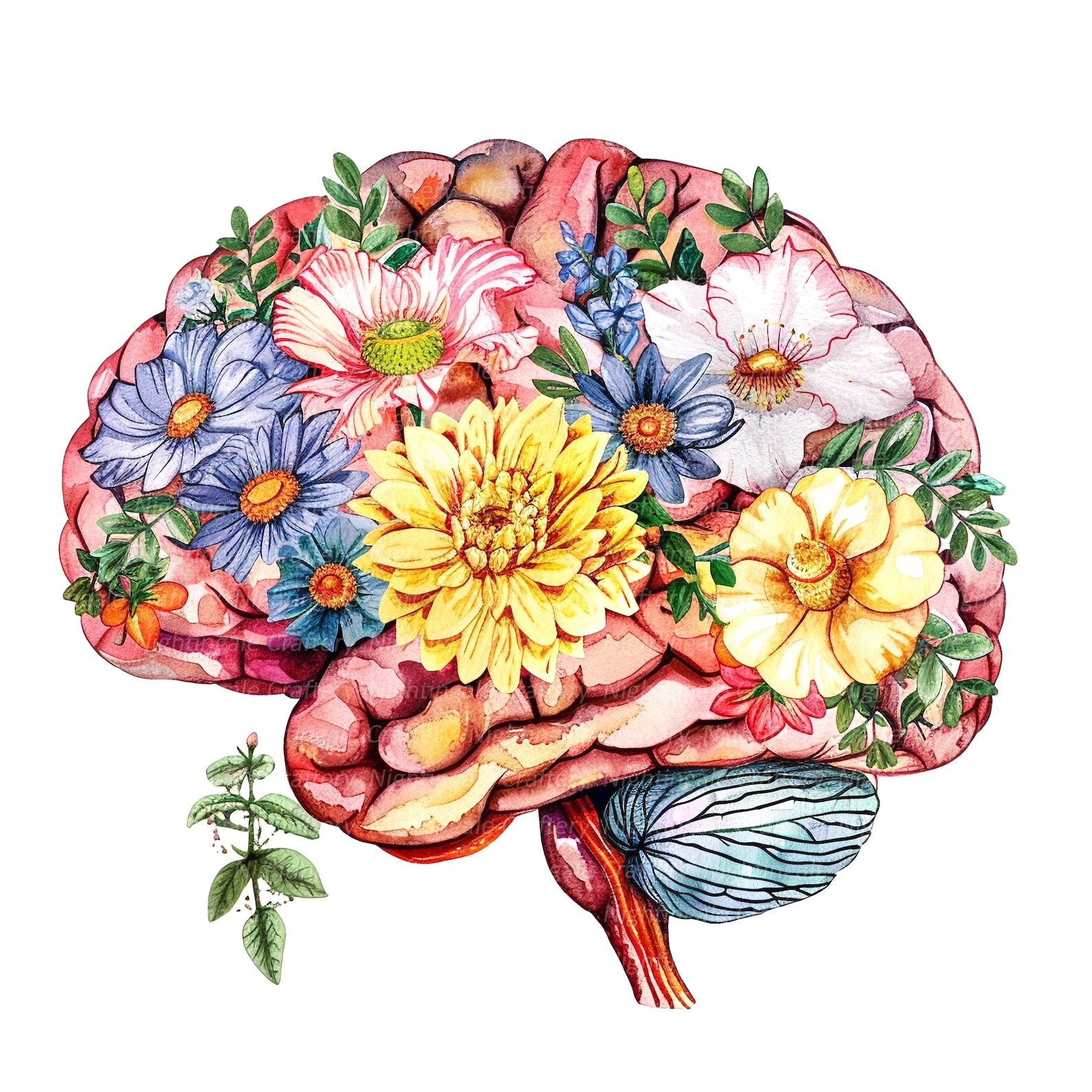 10 Floral Human Brain Clipart, Anatomical Brain, Printable Watercolor ...