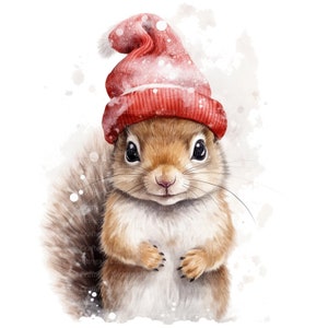 14 eekhoorn kerstmuts clipart, afdrukbare aquarel clipart, hoge kwaliteit jpg's, digitale download, Paper Craft, ongewenste tijdschriften