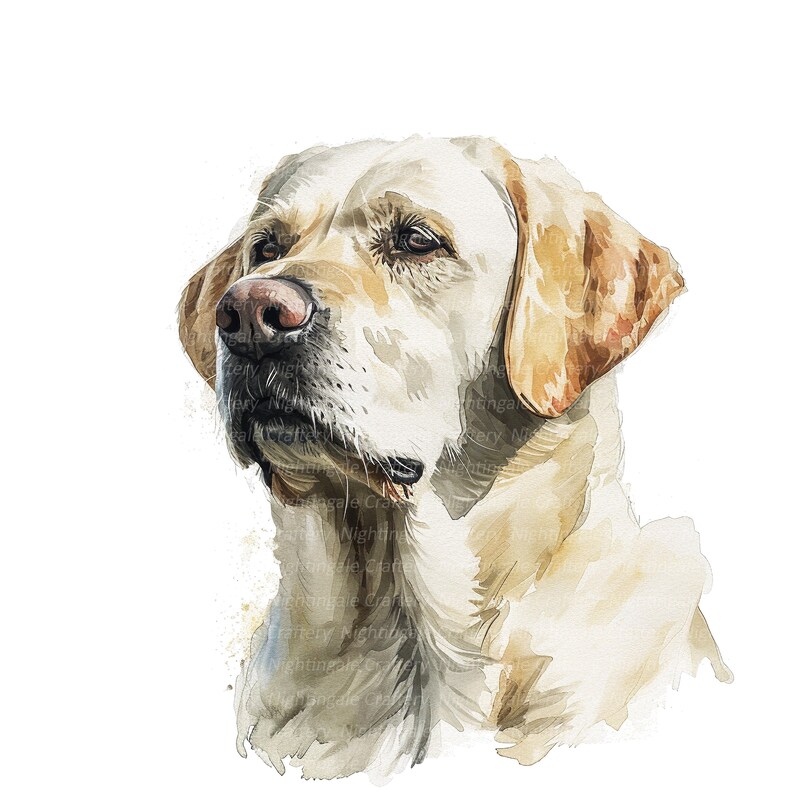 May include: A watercolor painting of a golden retriever dog with a light brown and white coat. The dog is looking to the side with its mouth closed. The painting is done in a realistic style.