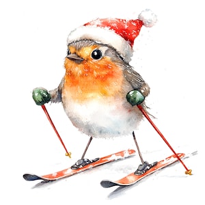 11 Clipart ski Robin, Noël Robin, clipart aquarelle imprimable, PNG/JPG de haute qualité, téléchargement numérique, créations en papier, journal de bordel