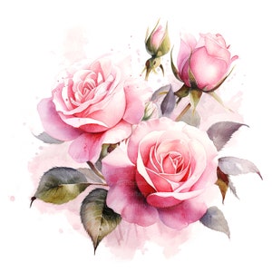 10 Rose rosa Set 2 Clipart, Bouquet di rose, Clipart acquerello stampabile, Download digitale, PNG/JPG di alta qualità, Carta artigianale, diari spazzatura