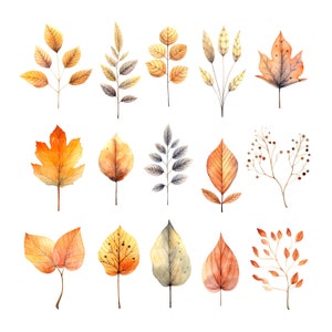 14 hojas de otoño estilo boho clipart, clipart de acuarela boho para imprimir en otoño, PNG de alta calidad, descarga digital, manualidades de papel, diarios basura