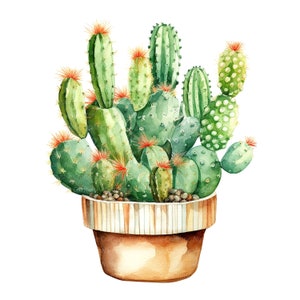 12 Cactus in Pot Clipart, Blooming Cactus, Printable Watercolor Clipart ...