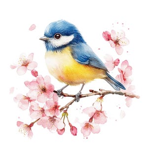 9 Clipart floral mésange bleue, clipart oiseau printanier, clipart aquarelle imprimable, fichiers JPG de haute qualité, téléchargement numérique, créations en papier, journal indésirable
