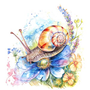 Puede incluir: Una pintura de acuarela de un caracol arrastr&aacute;ndose sobre una flor azul con flores amarillas y lavanda en el fondo.