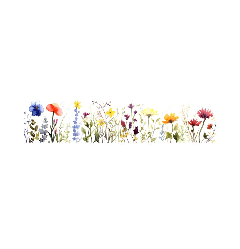Peut inclure: Peinture &agrave; l'aquarelle d'une rang&eacute;e de fleurs sauvages color&eacute;es, comprenant des fleurs bleues, rouges, jaunes et violettes. Les fleurs sont dispos&eacute;es en ligne sur un fond blanc.