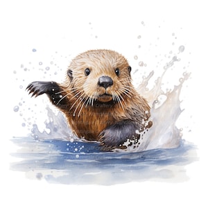 14 clipart de lontra, lontra marinha, clipart em aquarela para impressão, JPGs de alta qualidade, download digital, alta resolução, artesanato em papel, diários indesejados