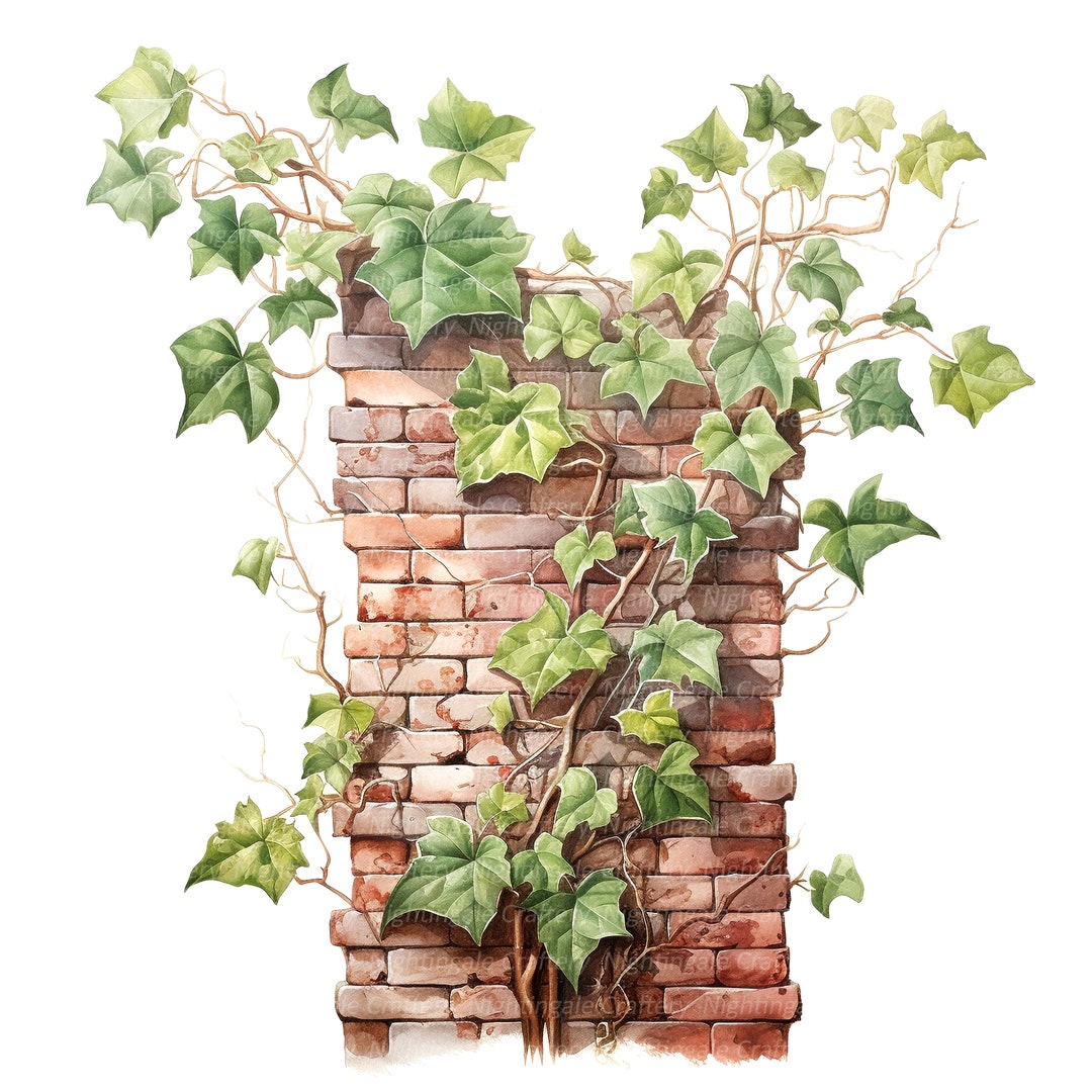 12 Brick Wall and Vines Clipart, Vine Leaves, Printable Watercolor Clipart, High Quality Jpgs ...