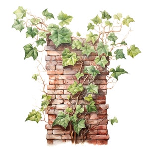12 Brick Wall and Vines Clipart, Vine Leaves, Printable Watercolor clipart, High Quality JPGs, Digital download, Paper craft, junk journals