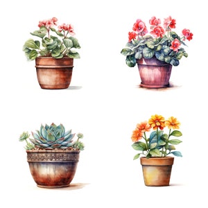 16 vários clipart de vasos de flores, suculentas, clipart em aquarela para impressão, JPGs de alta qualidade, download digital, artesanato em papel, diários indesejados