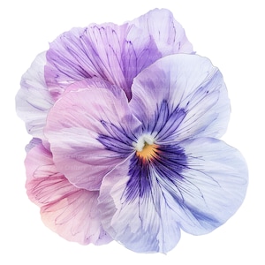9 Pink Pansy Clipart, Flores de pensamiento abstracto, Imágenes prediseñadas de acuarela imprimibles, JPG de alta calidad, Descarga digital, Artesanía de papel, diario basura