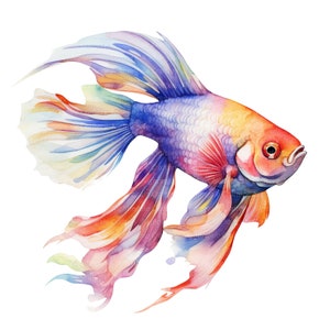 20 tropische vissen clipart, aquariumvissen clipart, afdrukbare aquarel clipart, hoge kwaliteit png, digitale download, papercraft, junk journal
