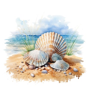 May include: Three seashells on a sandy beach with a blue ocean in the background. The shells are a light brown, white, and a light blue color.