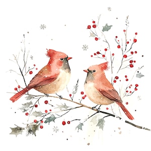 10 kerstvogels clipart, rode kardinaal, Robin, afdrukbare aquarel clipart, hoge kwaliteit JPG, digitale download, Paper Craft, junk journal